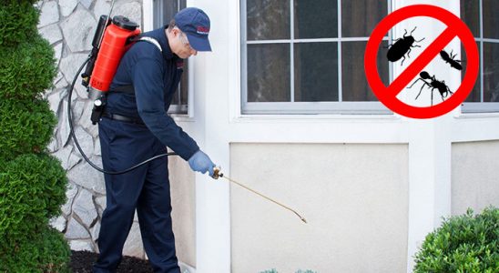 Kemah Kene İlaçlama böcek ilaçlama ve haşere kontrolü — ilaclama-tr.com